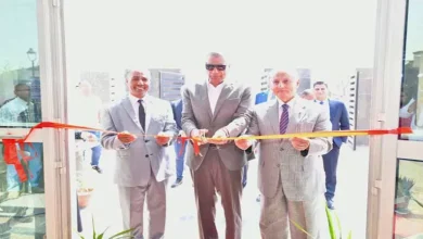 محمود محمد كمال الفرارجي