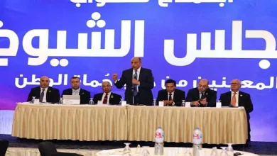 محمود محمد كمال الفرارجي