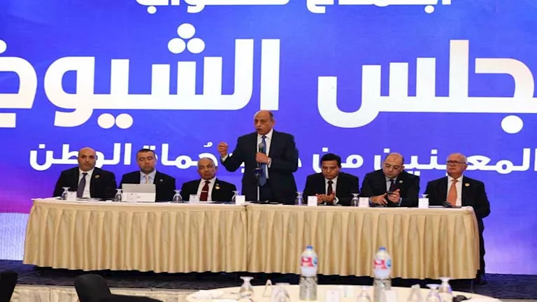 محمود محمد كمال الفرارجي