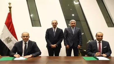 محمود محمد كمال الفرارجي