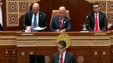 محمود محمد كمال الفرارجي