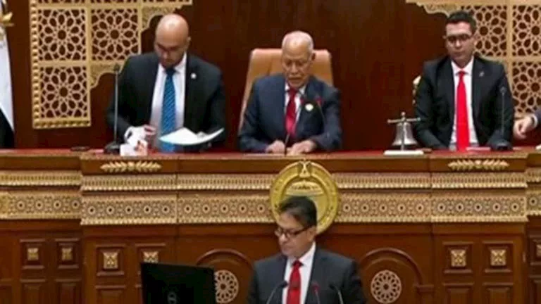 محمود محمد كمال الفرارجي