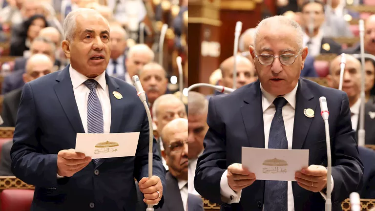 محمود محمد كمال الفرارجي