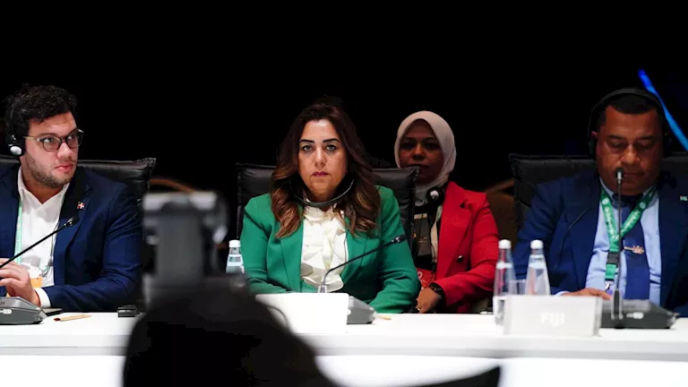 محمود محمد كمال الفرارجي