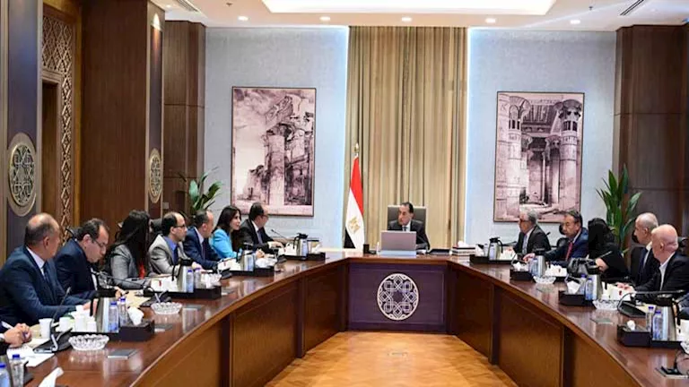 محمود محمد كمال الفرارجي