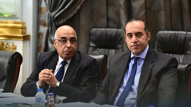محمود محمد كمال الفرارجي