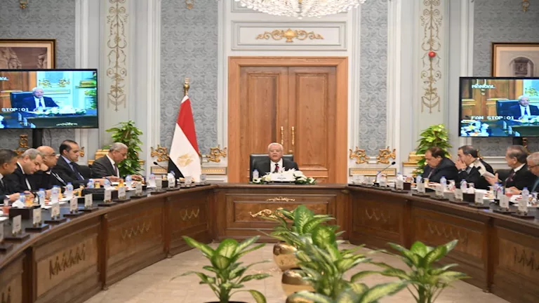 محمود محمد كمال الفرارجي