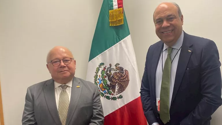 محمود محمد كمال الفرارجي