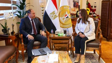 محمود محمد كمال الفرارجي