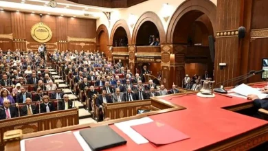 محمود محمد كمال الفرارجي