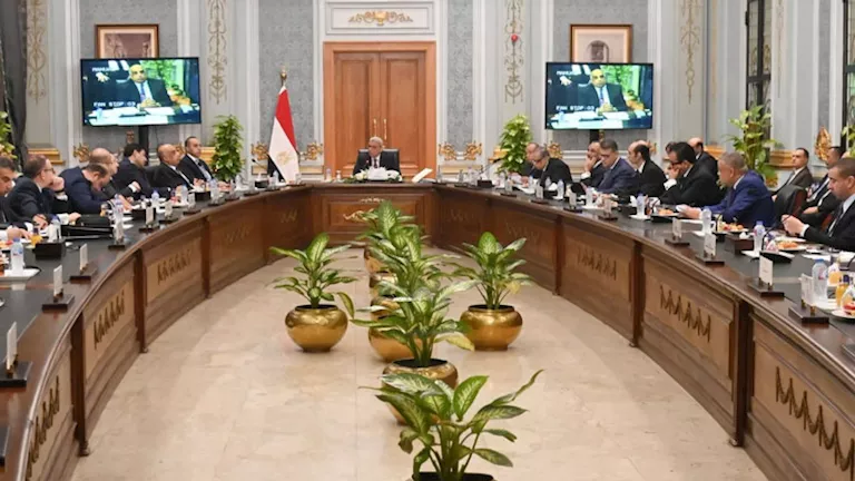 محمود محمد كمال الفرارجي