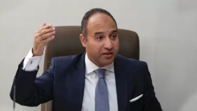 محمود محمد كمال الفرارجي