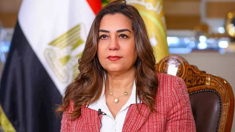 محمود محمد كمال الفرارجي