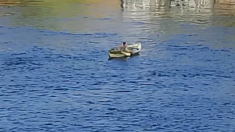 محمود محمد كمال الفرارجي