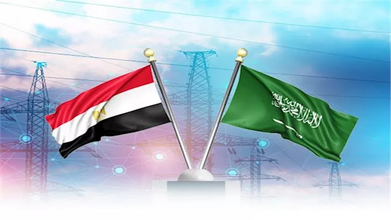 محمود محمد كمال الفرارجي