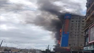 محمود محمد كمال الفرارجي