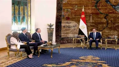 محمود محمد كمال الفرارجي