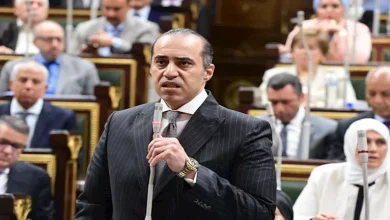 محمود محمد كمال الفرارجي