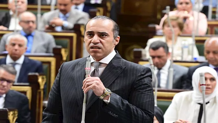 محمود محمد كمال الفرارجي