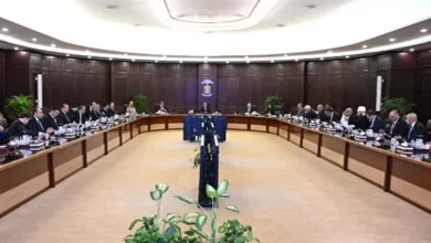 محمود محمد كمال الفرارجي