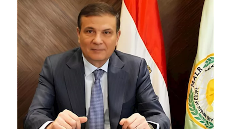 محمود محمد كمال الفرارجي