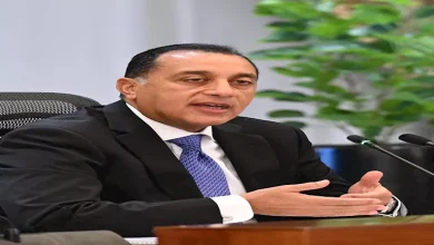 محمود محمد كمال الفرارجي