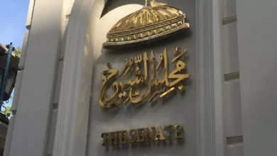 محمود محمد كمال الفرارجي