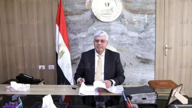 محمود محمد كمال الفرارجي