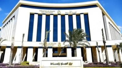 محمود محمد كمال الفرارجي