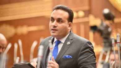 محمود محمد كمال الفرارجي