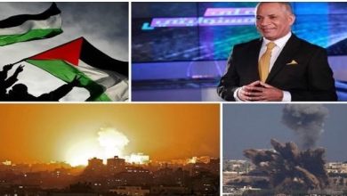 محمود محمد كمال الفرارجي