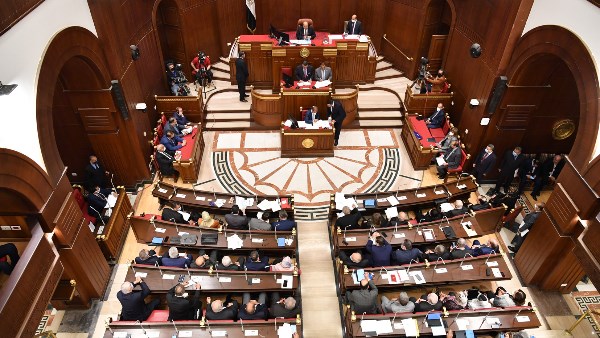 محمود محمد كمال الفرارجي