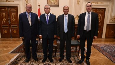 محمود محمد كمال الفرارجي