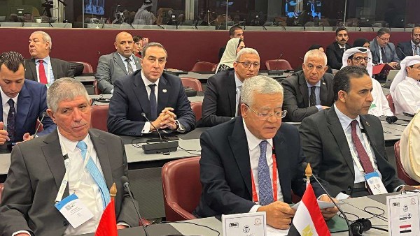 محمود محمد كمال الفرارجي