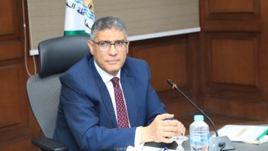 محمود محمد كمال الفرارجي