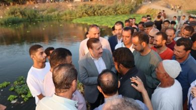 محمود محمد كمال الفرارجي