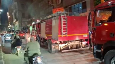 محمود محمد كمال الفرارجي