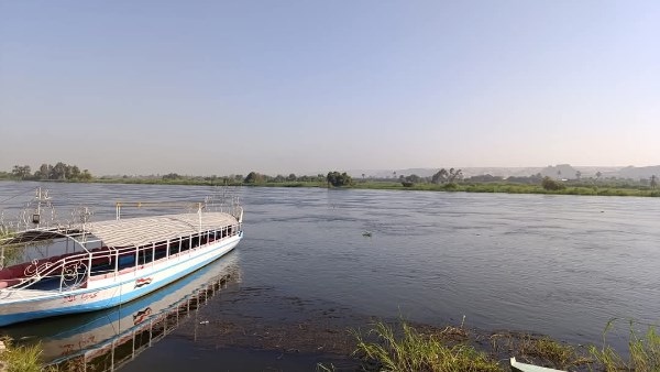 محمود محمد كمال الفرارجي