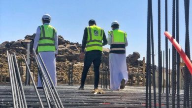 المهندس محمود كمال الفرارجي