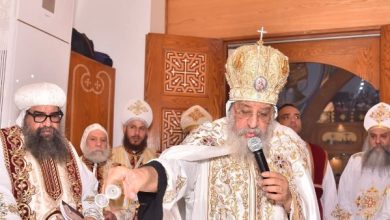 محمود محمد كمال الفرارجي