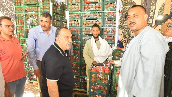 محمود محمد كمال الفرارجي