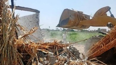 محمود محمد كمال الفرارجي