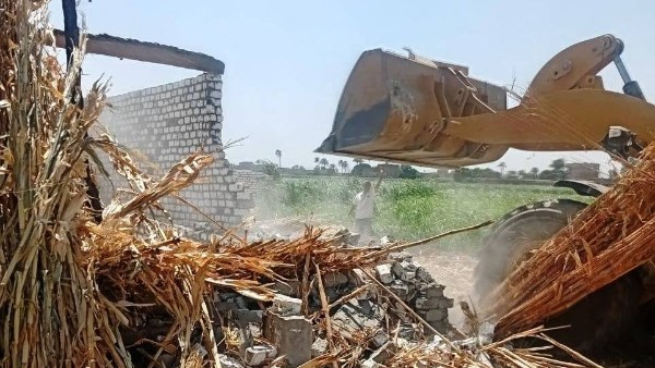 محمود محمد كمال الفرارجي