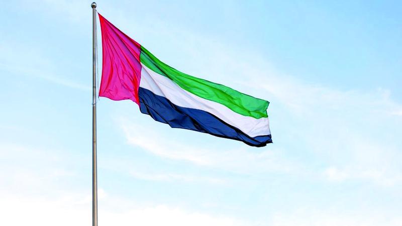 محمود محمد كمال الفرارجي