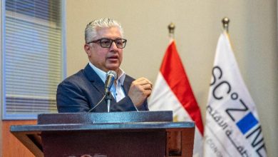 محمود محمد كمال الفرارجي