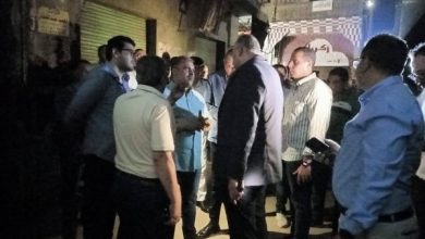 محمود محمد كمال الفرارجي