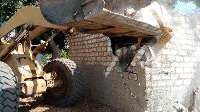 محمود محمد كمال الفرارجي