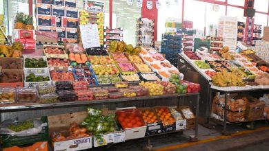 محمود محمد كمال الفرارجي