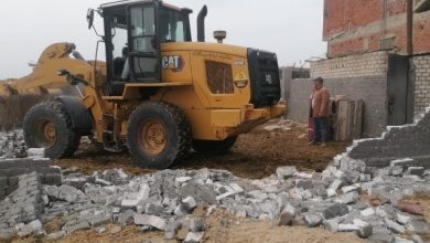 محمود محمد كمال الفرارجي