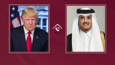 محمود محمد كمال الفرارجي